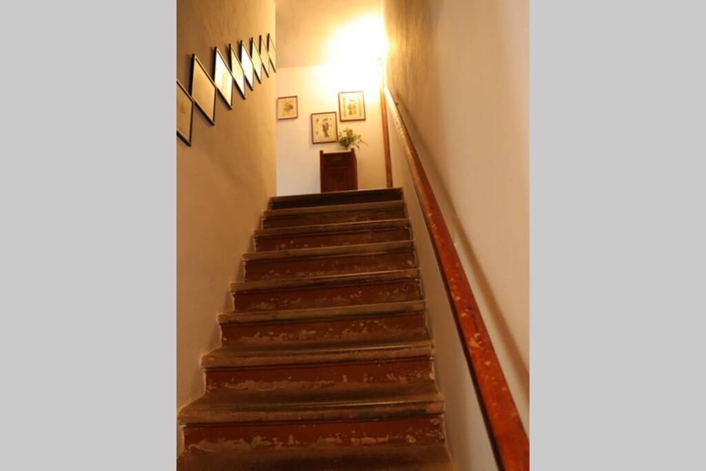 Ferienwohnung Antiche Fonti Bibbona Exterior foto